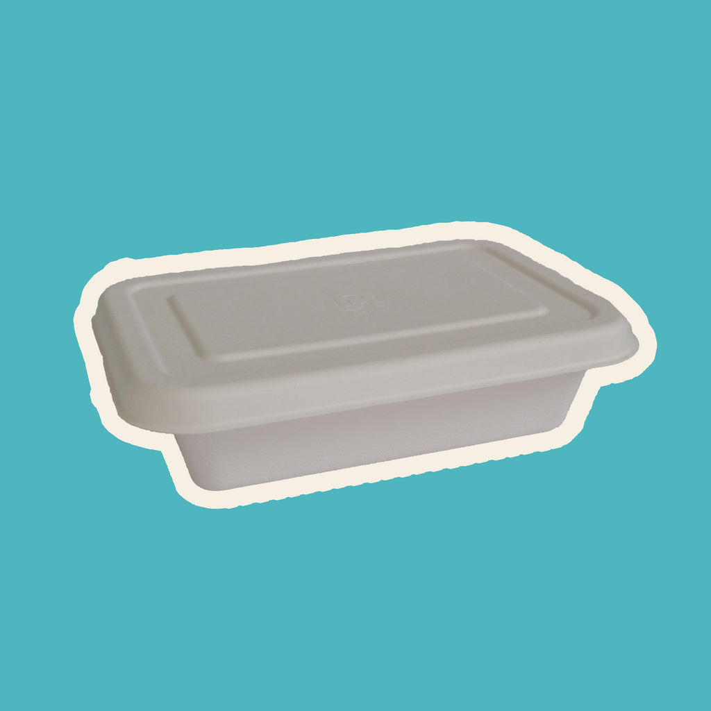 Box Jellyfish Sip PH